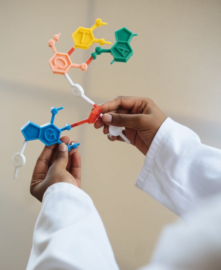 Close-up of a scientist's hands holding a colorful molecular model in a lab setting.