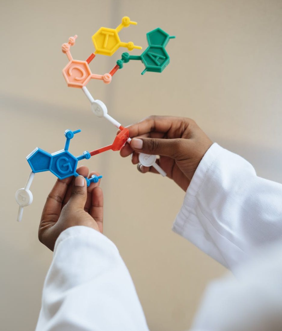 Close-up of a scientist's hands holding a colorful molecular model in a lab setting.